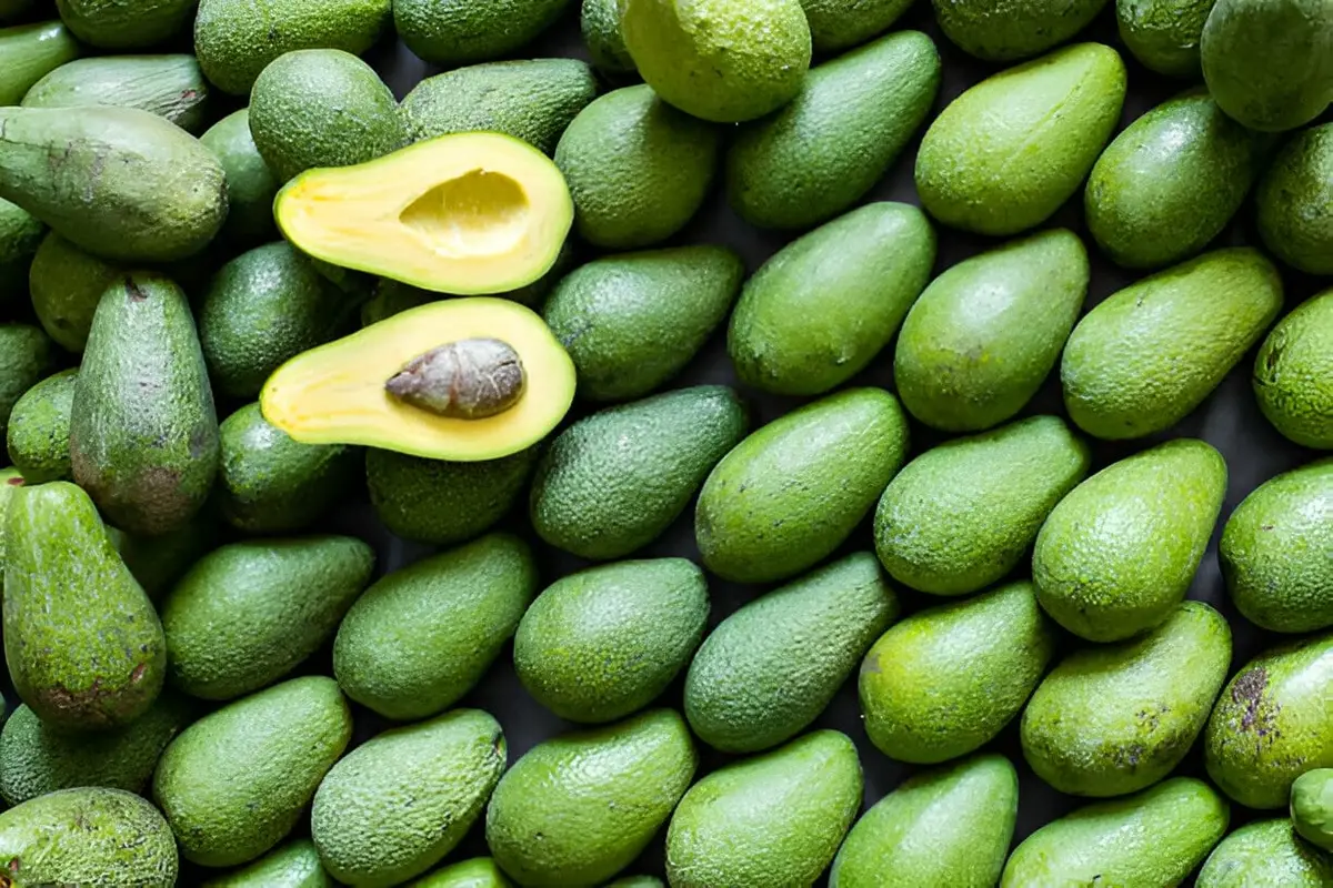 avokadas kcal