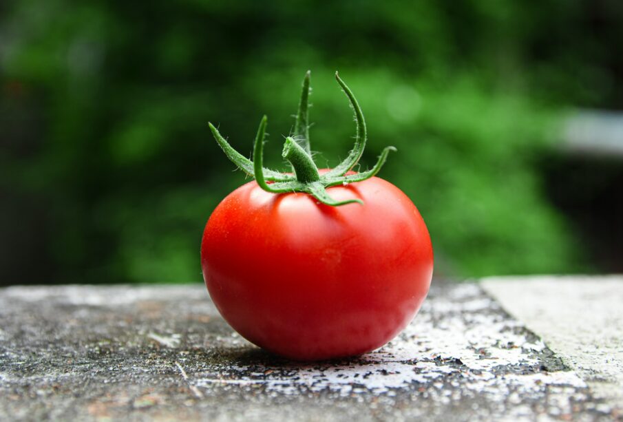 Pomidorai kcal